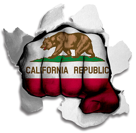 Fist California State Flag Logo iron on paper